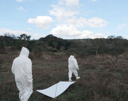 Bairro de Divinópolis, infestado de carrapatos, recebe ação contra febre maculosa febre maculosa
